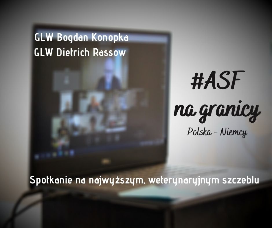 Kontynuacja rozmów ze stroną niemiecką ws. ASF